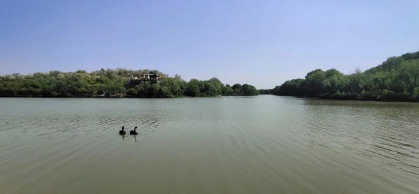 微信图片_20200509101633.jpg