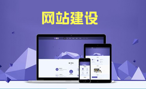 安徽专业网站建设公司