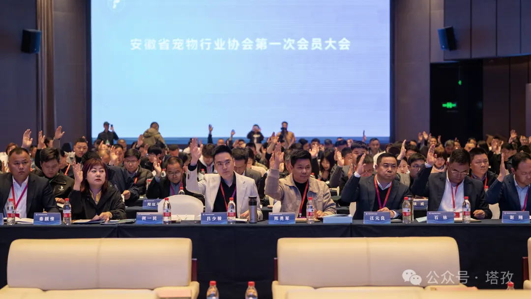 大会盛况.png